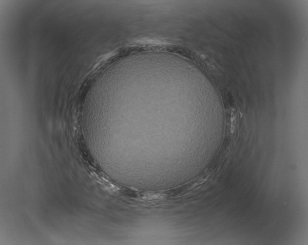 X0000080701157200701121744