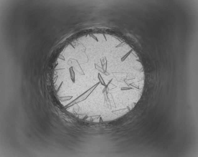 X0000080701159200701121744