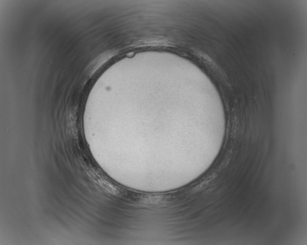 X0000080701162200701121744