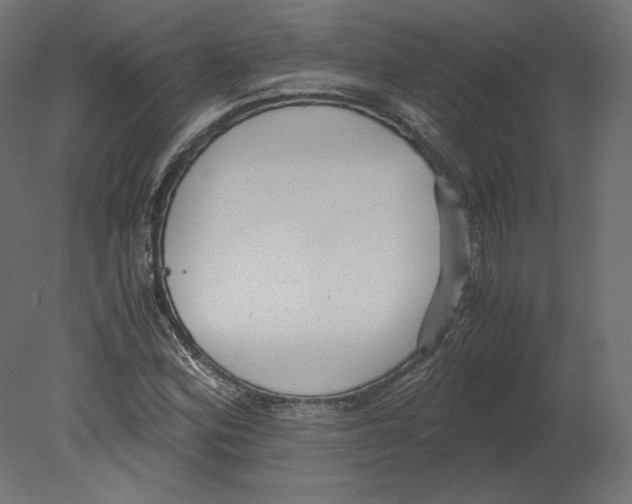 X0000080701164200701121743