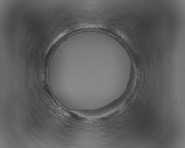 X0000080701165200701121743