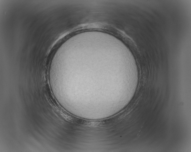 X0000080701166200701121743