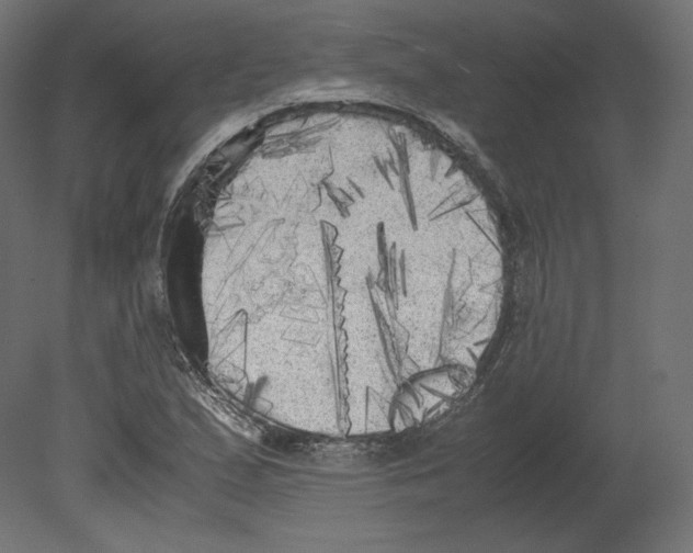 X0000080701167200701121743