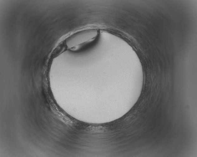 X0000080701168200701121743