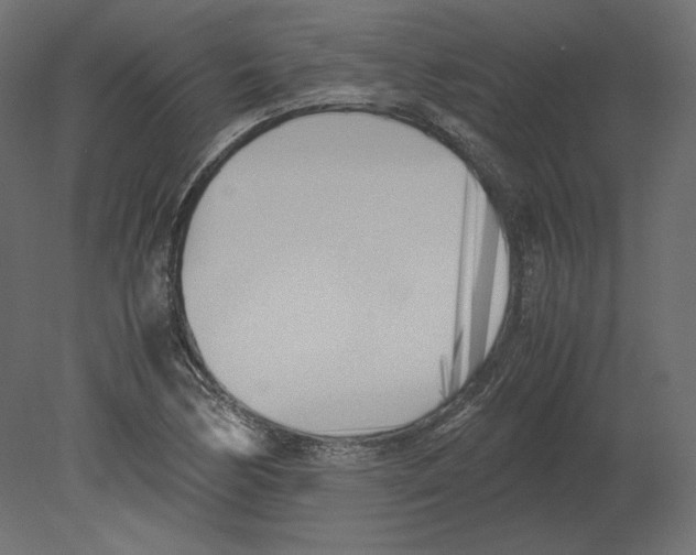 X0000080701170200701121743