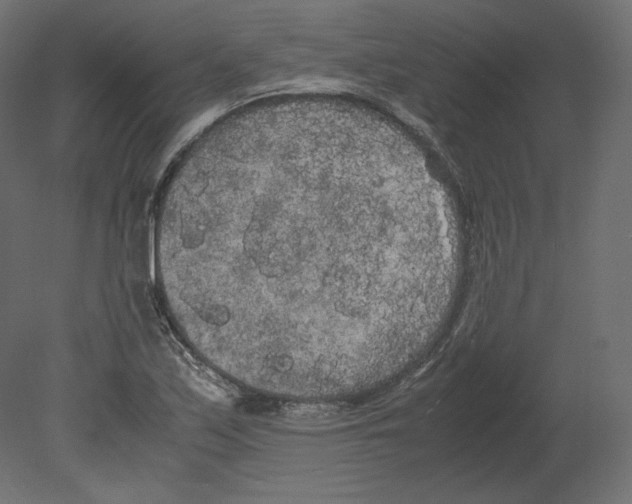 X0000080701171200701121743