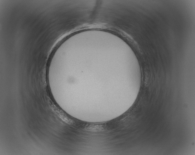 X0000080701174200701121743