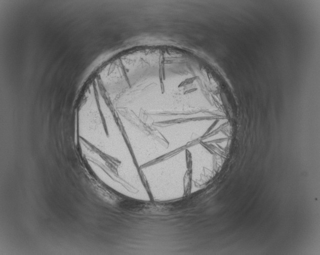 X0000080701175200701121743