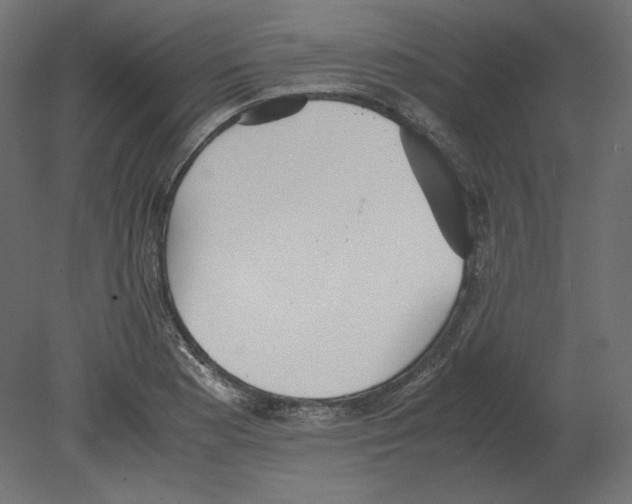 X0000080701177200701121743