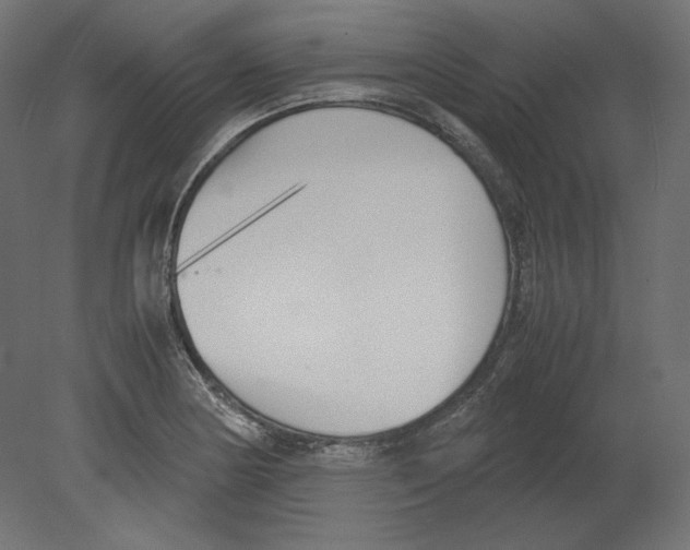 X0000080701178200701121743