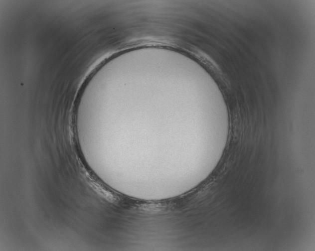 X0000080701182200701121743