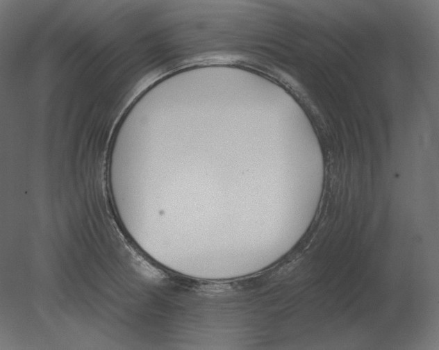 X0000080701186200701121743