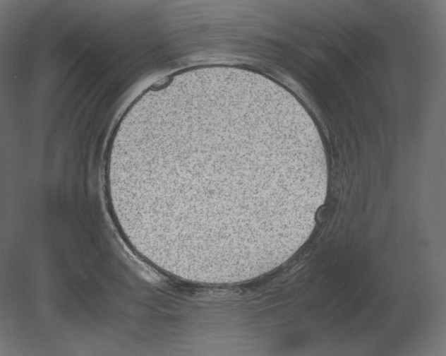 X0000080701187200701121743