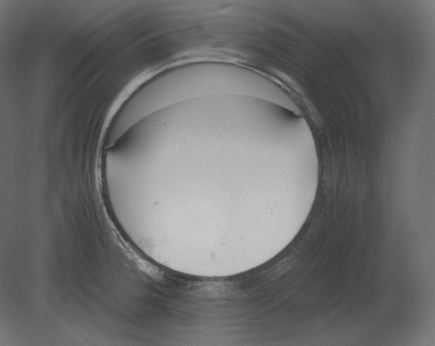 X0000080701188200701121743