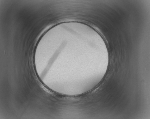 X0000080701197200701121743