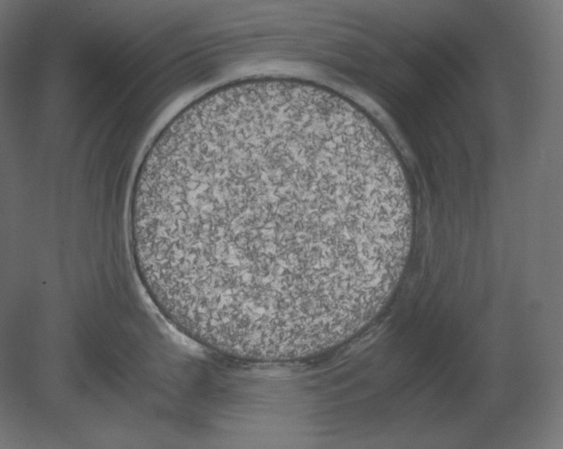 X0000080701199200701121743