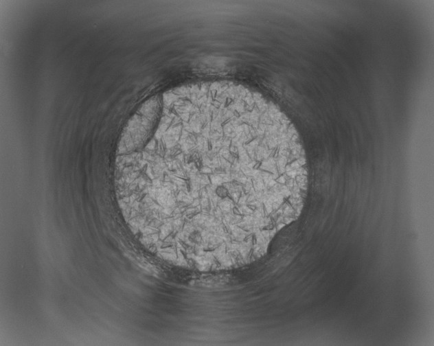 X0000080701201200701121742