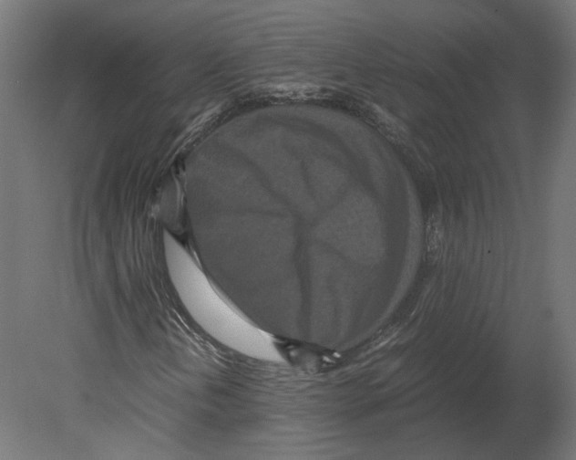 X0000080701202200701121742