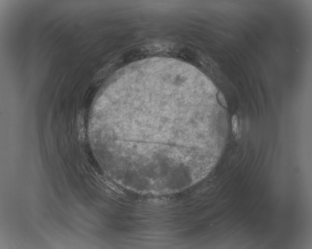 X0000080701203200701121742