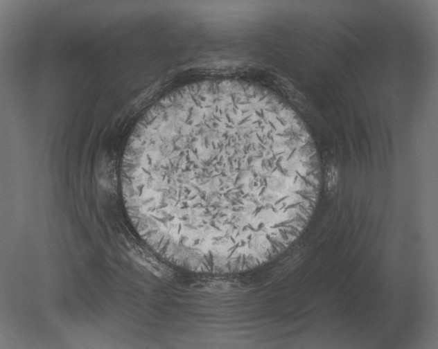 X0000080701204200701121742