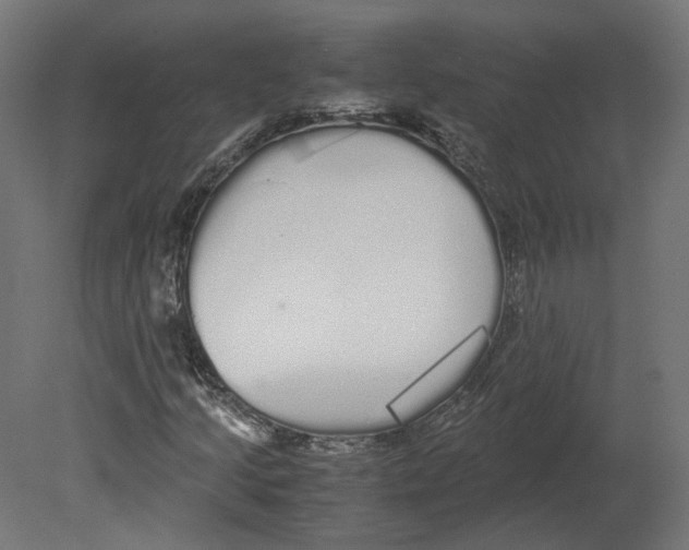 X0000080701205200701121742