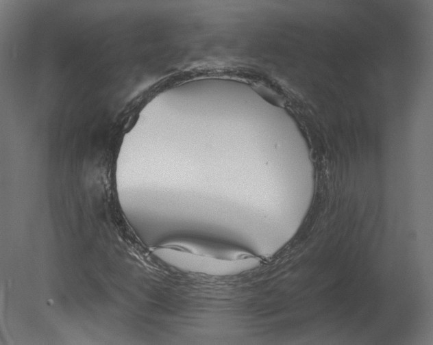 X0000080701206200701121742