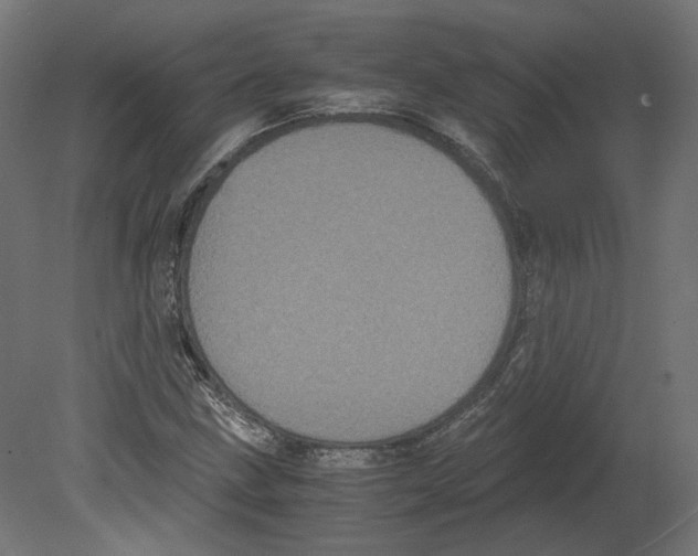 X0000080701211200701121742