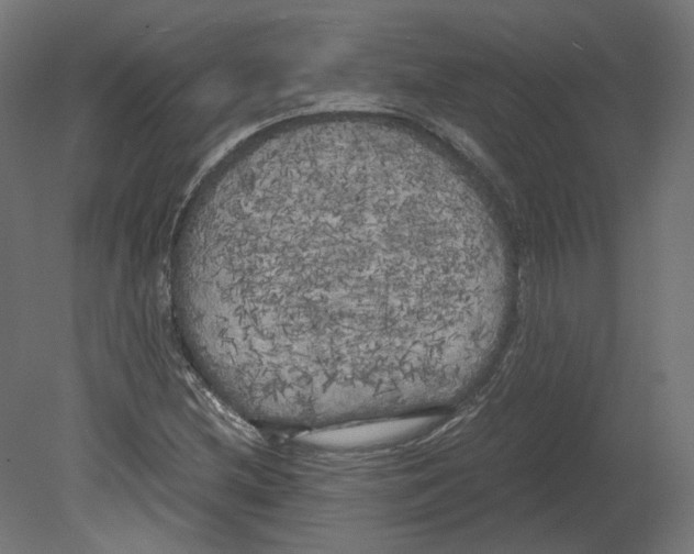 X0000080701212200701121742