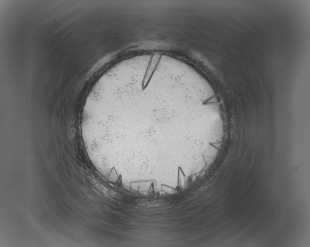 X0000080701213200701121742