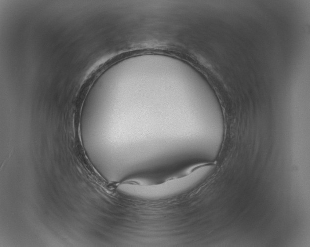 X0000080701214200701121742