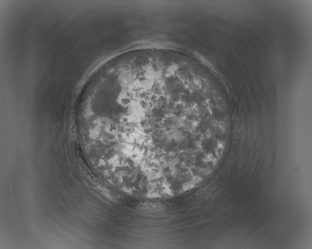 X0000080701215200701121742