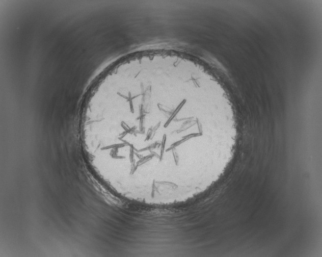 X0000080701216200701121742