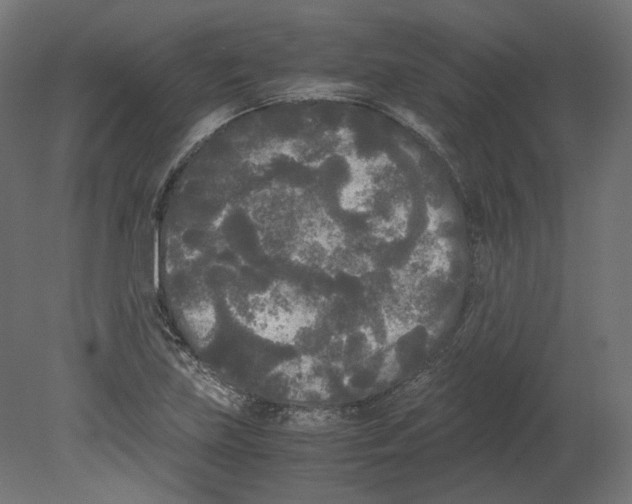 X0000080701219200701121742
