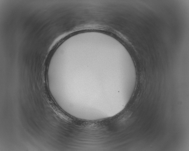 X0000080701222200701121742