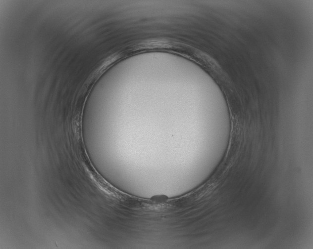 X0000080701225200701121742