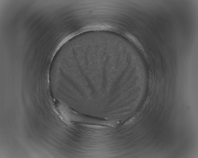 X0000080701226200701121742