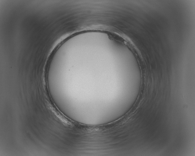 X0000080701230200701121743