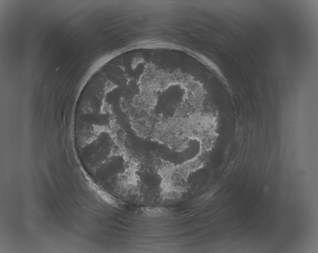 X0000080701231200701121743