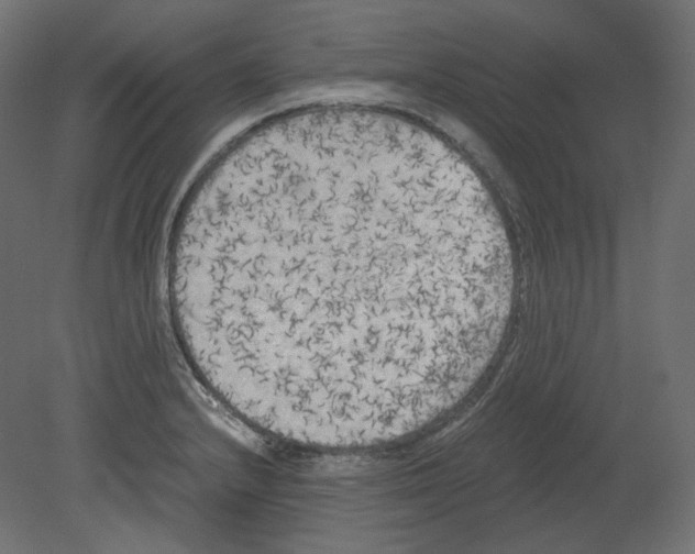 X0000080701232200701121743
