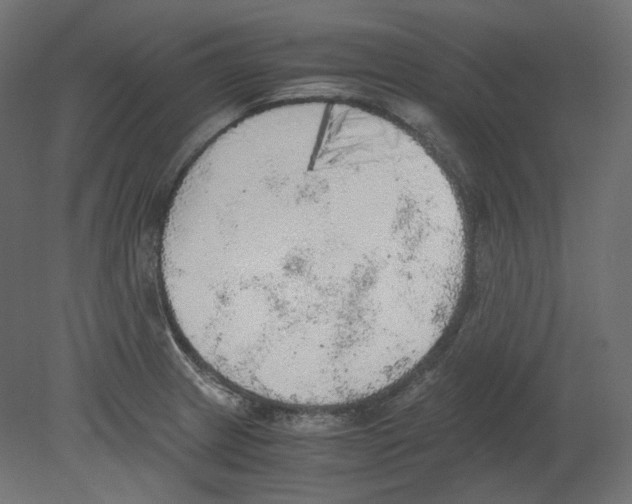 X0000080701233200701121743