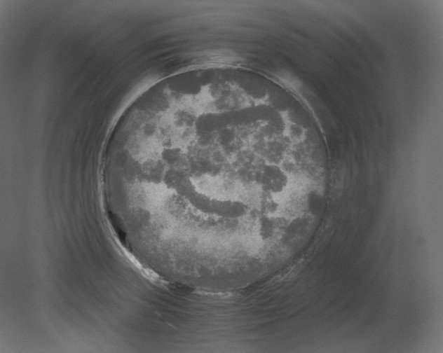 X0000080701235200701121743
