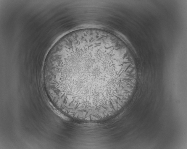 X0000080701236200701121743