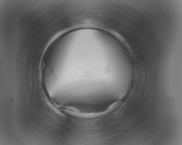 X0000080701238200701121743