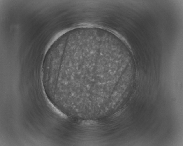X0000080701239200701121743