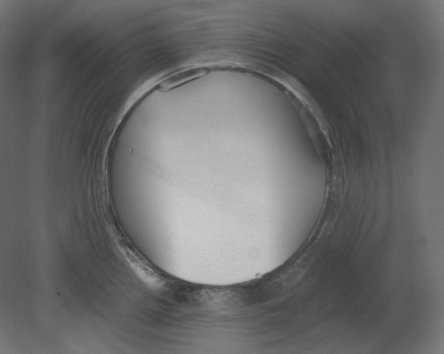 X0000080701242200701121743