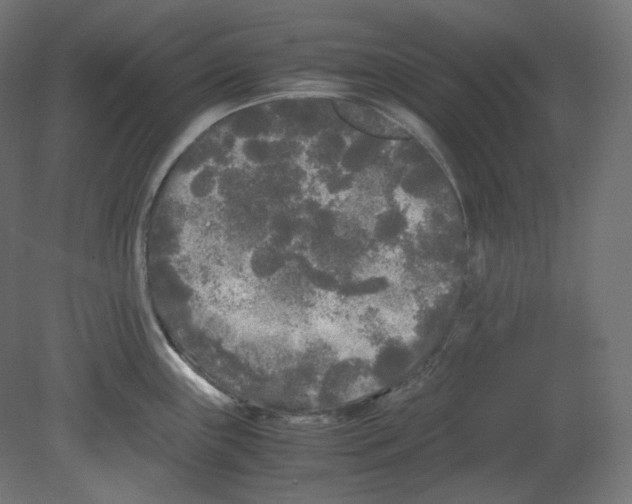 X0000080701243200701121743