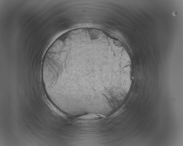 X0000080701244200701121743