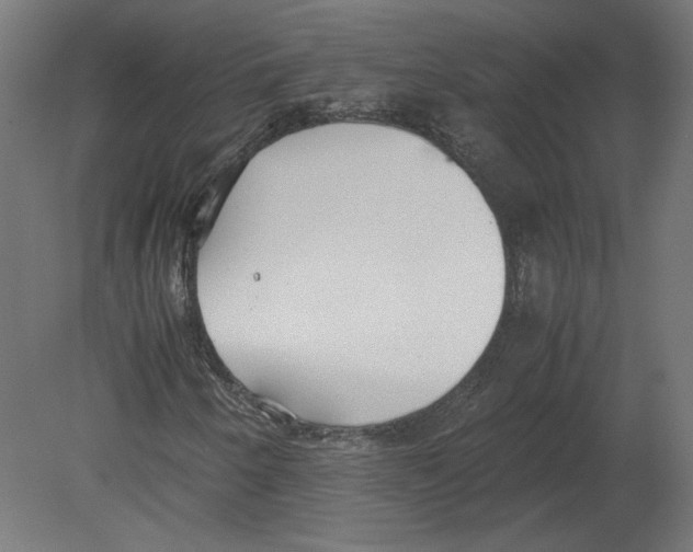X0000080701250200701121742