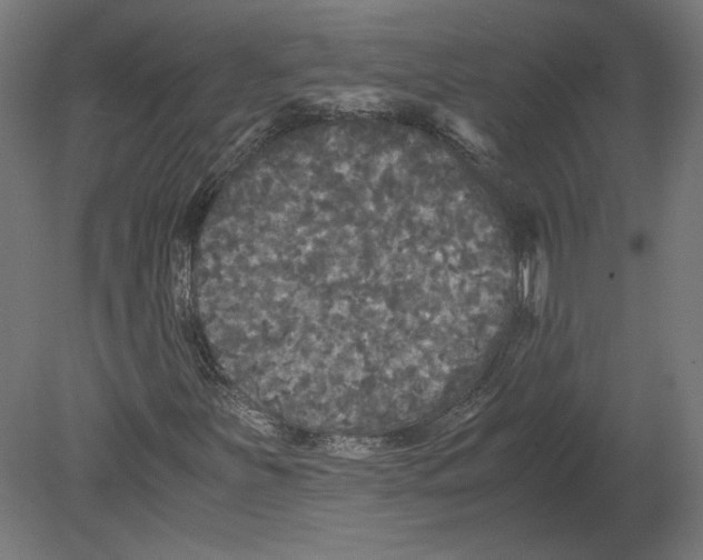 X0000080701251200701121742
