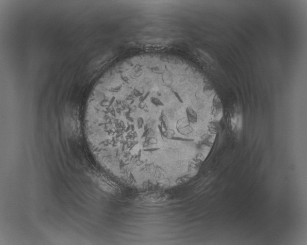 X0000080701252200701121742